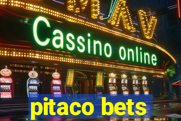 pitaco bets